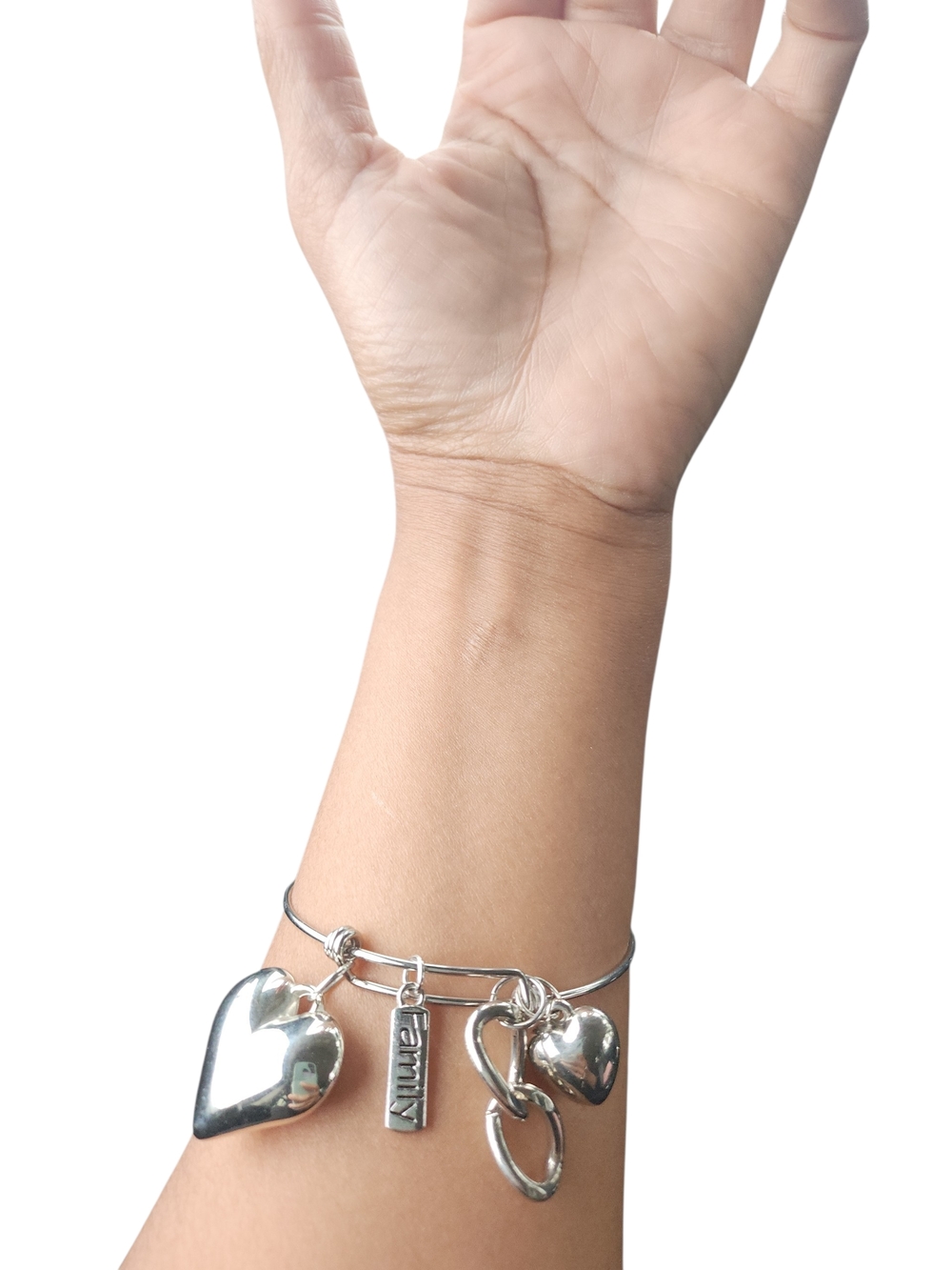 Stainless Steel Love, Link, Family Charm Bracelet.